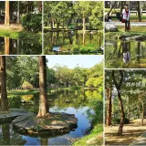 00005 大東濕地公園