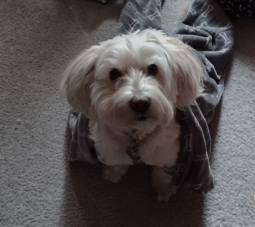 IMG 20211225 101218049 HDR.jpg
