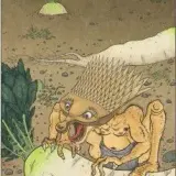 25
