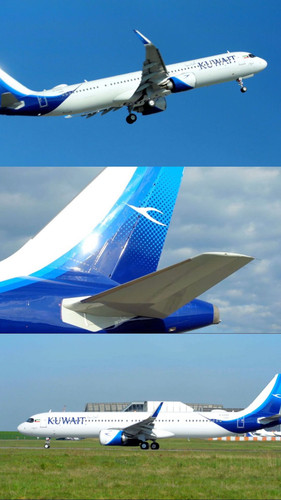 497527495 18504532777007733 1984666547928887533 n