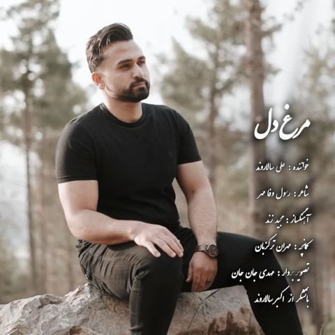 دانلود آهنگ علی سالاروند به نام مرغ دل