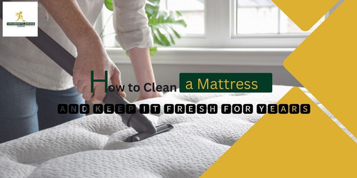 How to Clean a Mattress and Keep It Fresh for Years.jpg