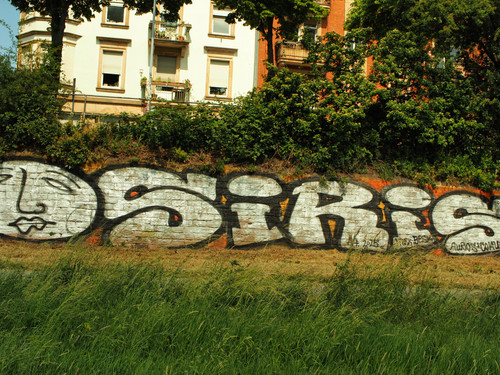 P1010297.jpg