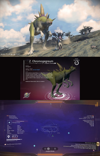 rex.jpg