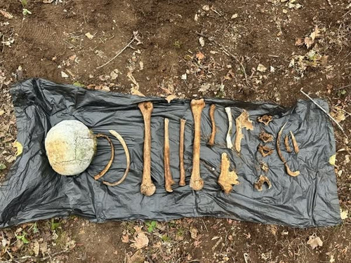 488599850 1105529864936293 579000770582651979 n.jpg?stp=dst jpg s600x600 tt6& nc cat=107&ccb=1 7& nc.jpg