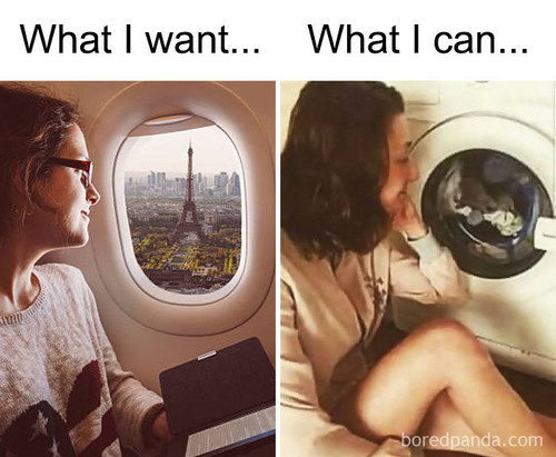 funny travel memes 222 5c9257fb7c77e 700.jpg