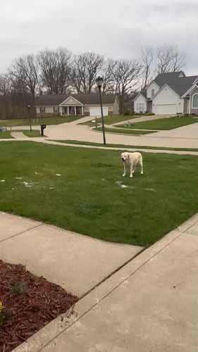 DEZJaAow3d0Ib2 3.jpg