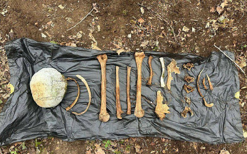 U7cosguzRXtuvpeAoQdsp8oxkELBKJJJ0dh1uVnvaHojyqHqmgn YBsedv1OJ7fU4hB7E0S2mvVqa2I4KHDv xaF RS PtMirn3r.jpg