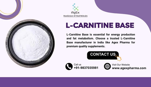L Carnitine Base manufacturer in India.jpg