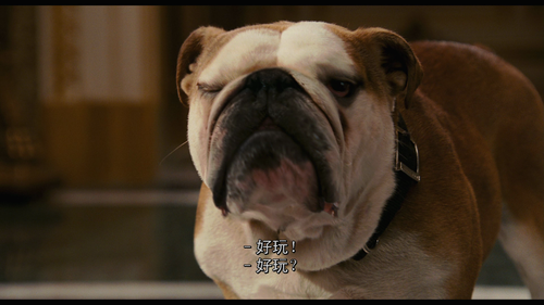 00000.m2ts 20250403 174747.787.png