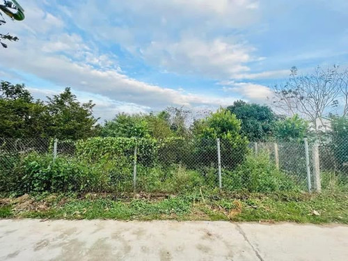 488886746 668444562803420 7495402150050802602 n.jpg