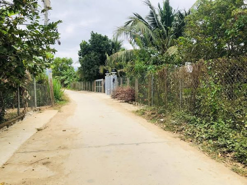 488406723 668444572803419 1399108941073734517 n.jpg