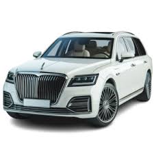 Select Golden Triangle India private driver for Safe Journey.jpg