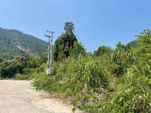 489175735 1765629961039776 2273718994747858419 n.jpg