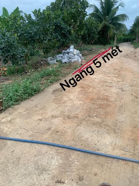 488026397 1347846753021288 3523322827812493016 n.jpg