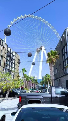 AO7jzLOcESQ8c3 T.jpg