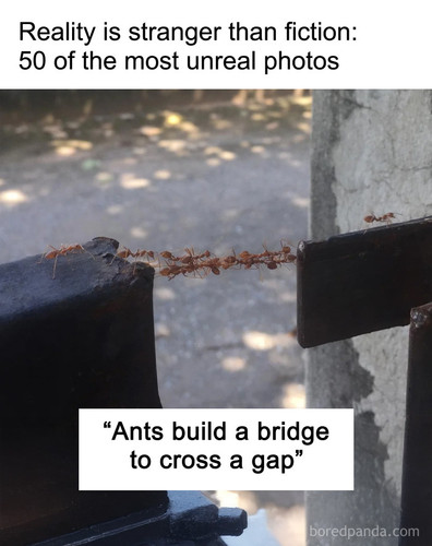 mind blowing photos.jpg