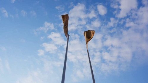 zPD tPCUiZ4vrWp8.jpg