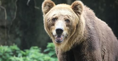 10936654620536731130?url=https%3A%2F%2Fshqiptarja.com%2Fuploads%2F780x440%2F1743661357 ariuimurrme.J.jpg