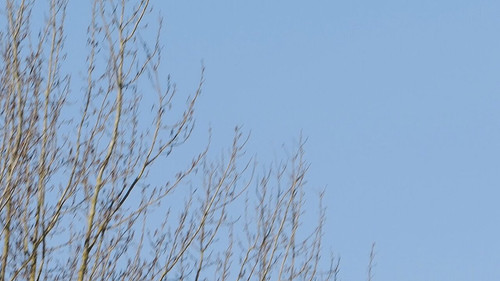 uIJRVQCSLH 05BVu.jpg