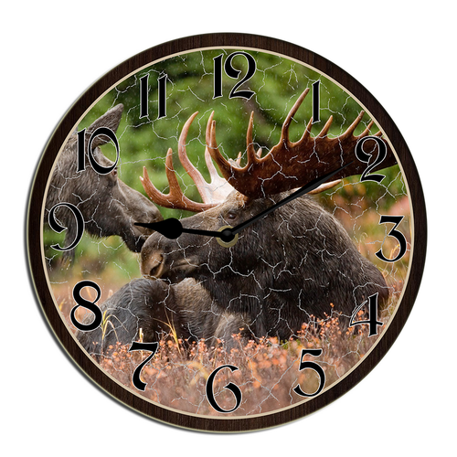 wallanixs0403v463 2.png