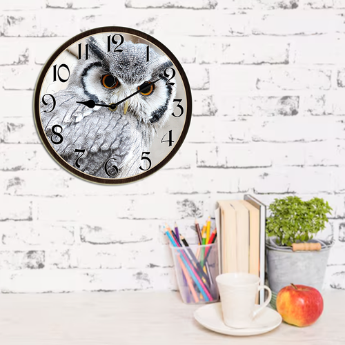 33 wallanixs0403v463 21.png