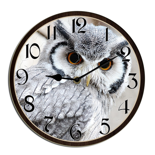 wallanixs0403v463 21.png