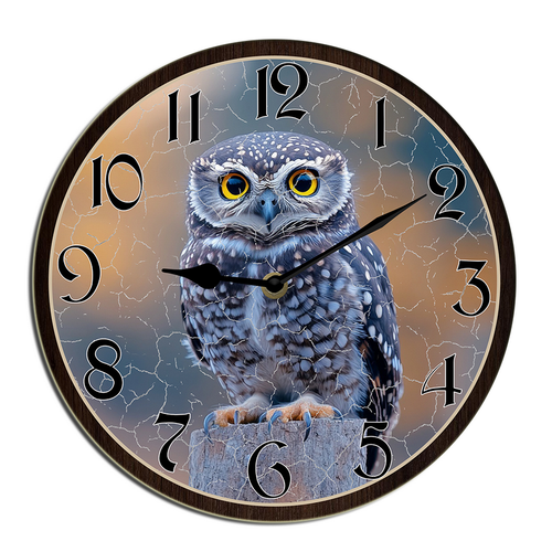 wallanixs0403v463 22.png