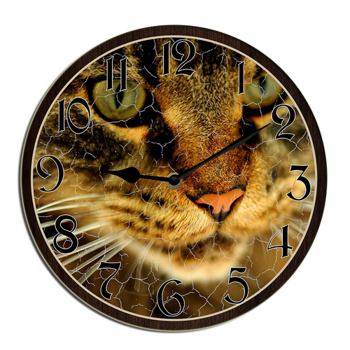 wallanixs0403v463 15.png