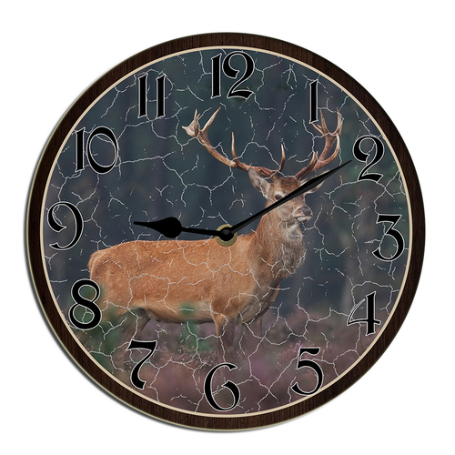 wallanixs0403v463 23.png