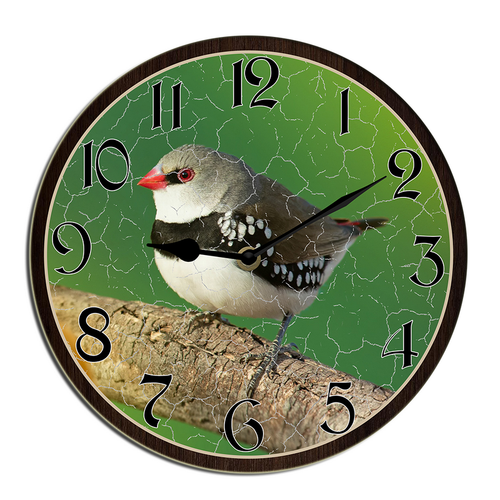 wallanixs0403v463 24.png