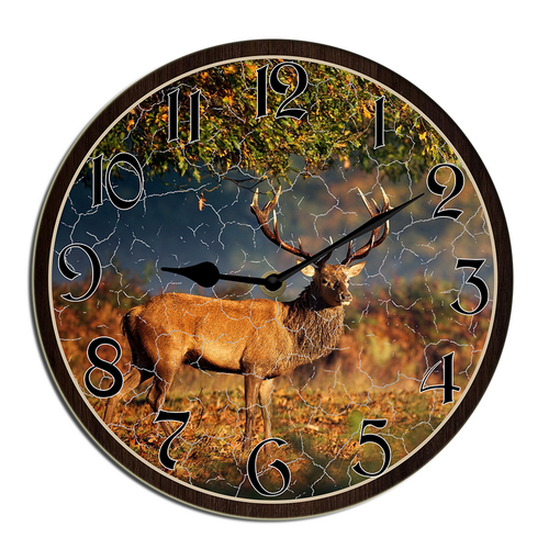 wallanixs0403v463 11.png