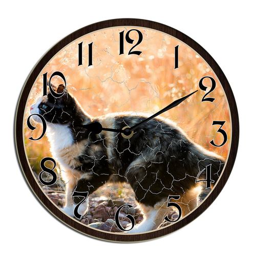 wallanixs0403v463 14.png