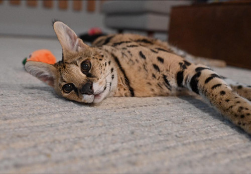 486493521 964501082376253 2399752116838369009 n.jpg