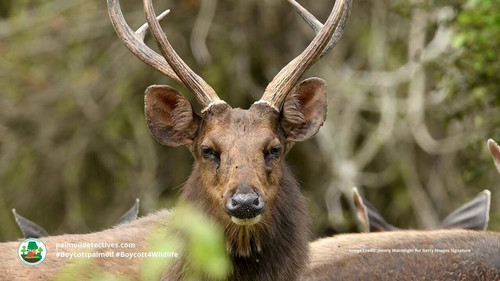 8r CVQ4V BRffTct.jpg