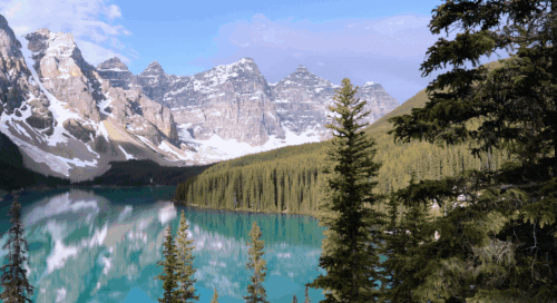 CDAA Header GIF.gif