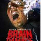 imgBRAINDAMAGE