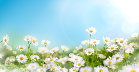 240 F 898426041 xlg8CNR3K01ne06LacholMMlyilUwN5O.jpg