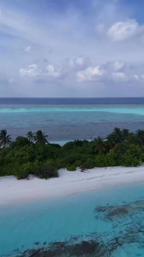 5TgSG15k11w vJnH.jpg