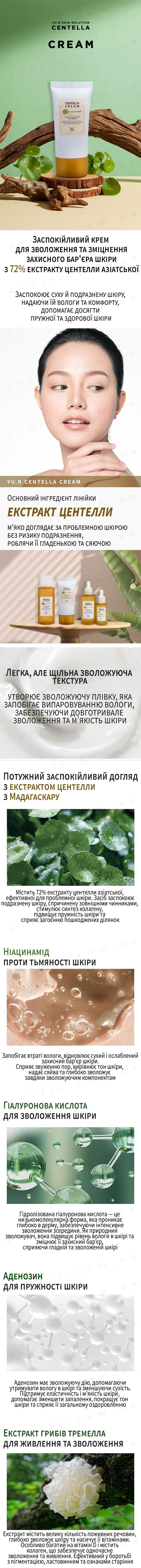 1 копия