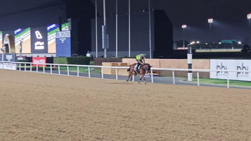 FxRZAMjxzLF yxd6.jpg