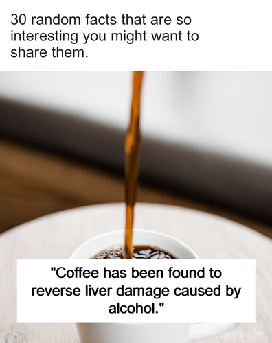 40145423 4b03 4356 834b 8e3995c8c1de.png