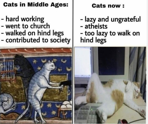 hilarious history memes 62e7a2aa57d89 700.jpg