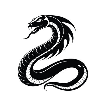 360 F 885133031 8jQ9YcM5sPtITWpDP8DG80bgv5b37FPH.jpg