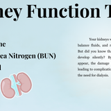 Sukla Lab, ALl In Life, Full Body Checkup (5)