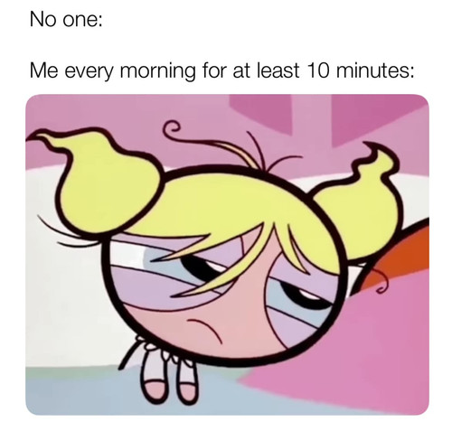 488581330 122120920394741818 1849965482250921235 n.jpg