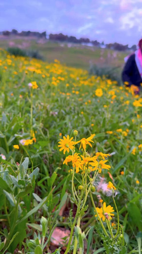 mMy0YSJx wnFkqEO.jpg