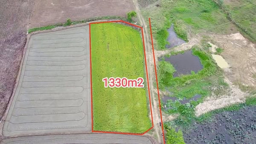 488131491 1853851605350691 6798412155894563654 n.jpg