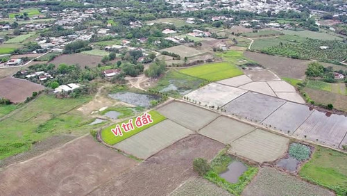 488729561 1853851512017367 5881056072441020701 n.jpg