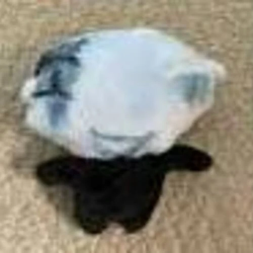 ezgif.com webp maker (4).webp